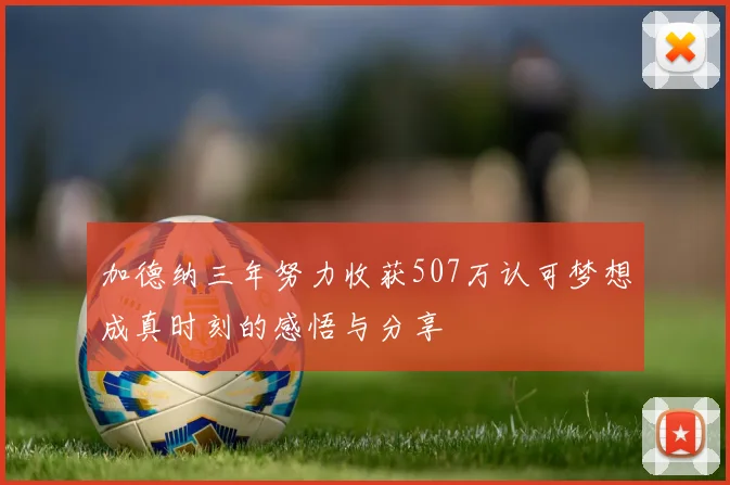 加德纳三年努力收获507万认可梦想成真时刻的感悟与分享