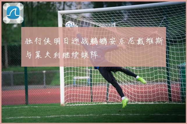 独行侠明日迎战鹈鹕安东尼戴维斯与莱夫利继续缺阵